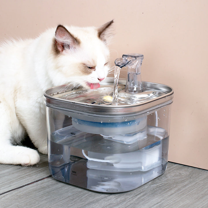 Automatic Pet Water Dispenser | Stainless Steel Fountain