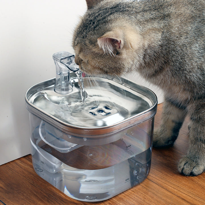 Automatic Pet Water Dispenser | Stainless Steel Fountain